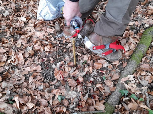 Aufsätze mit dem Schalenwild Abdruck